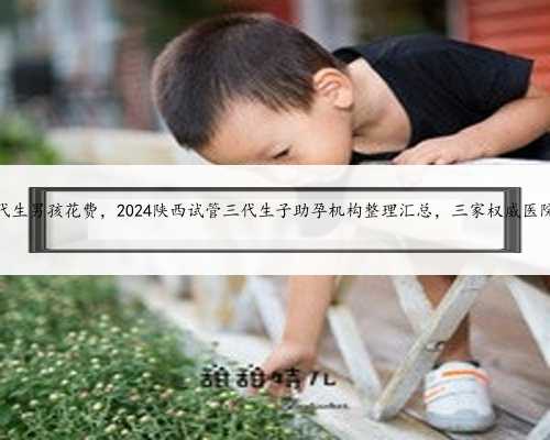 西安供卵代生男孩花费，2024陕西试管三代生子助孕机构整理汇总，三家权威医